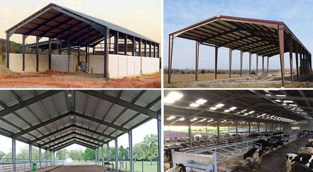 bâtiment d'élevage à structure métallique