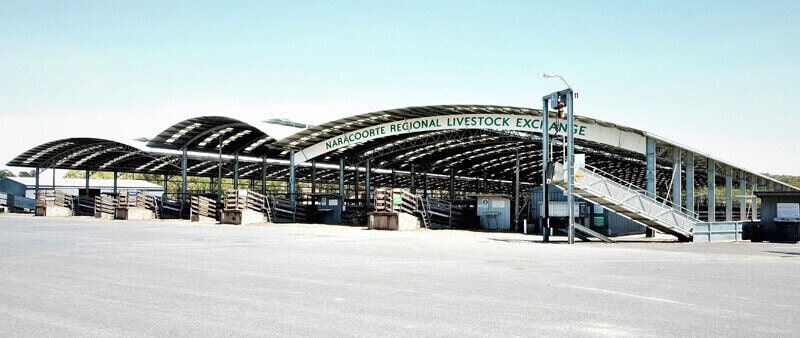 Steel Livestock Buildings