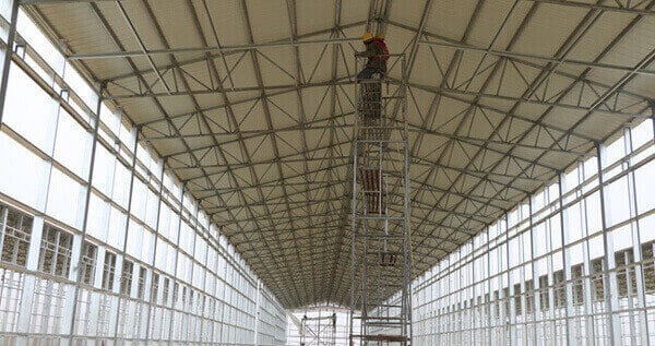 edificio avícola con estructura de acero