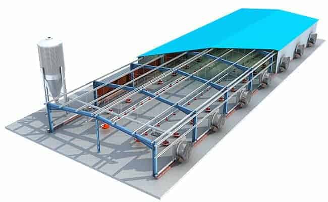 Steel Structure Poultry Building